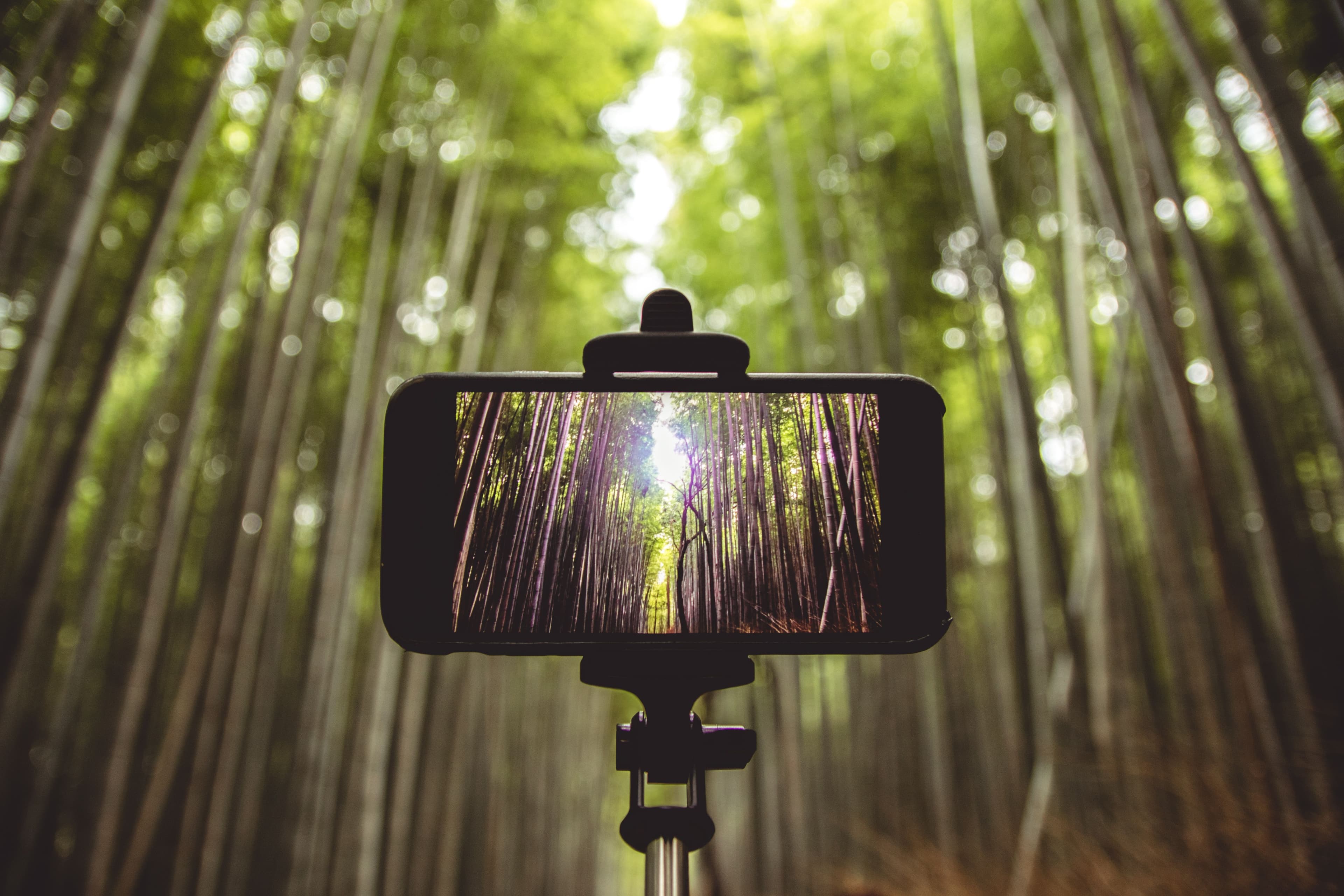 How to Build a Faceless Social Media Page in 2026 (Grow an Audience Without Showing Your Face)